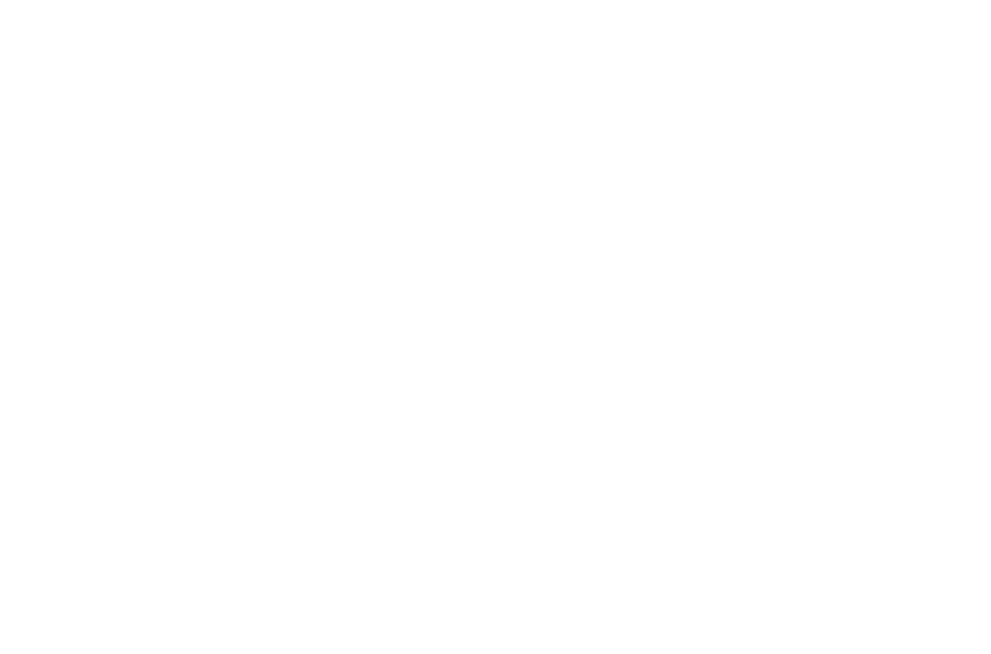 1717 Smart